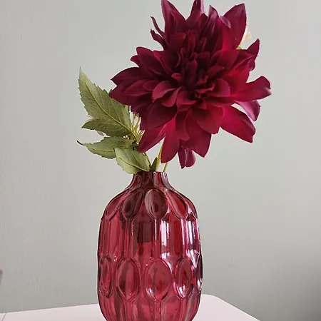 Apartment Stadt-appartment Drachenstich Wlan