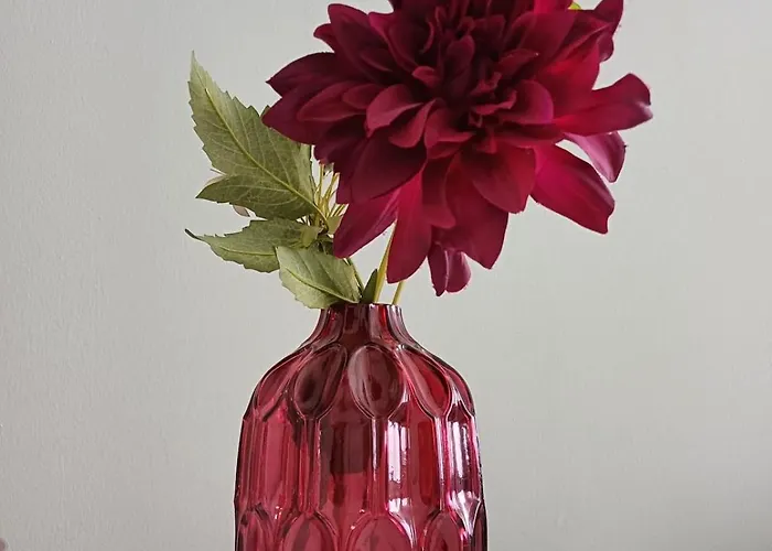 Apartment Stadt-appartment Drachenstich Wlan